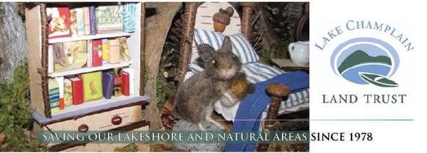 Celebrate the magic of nature!